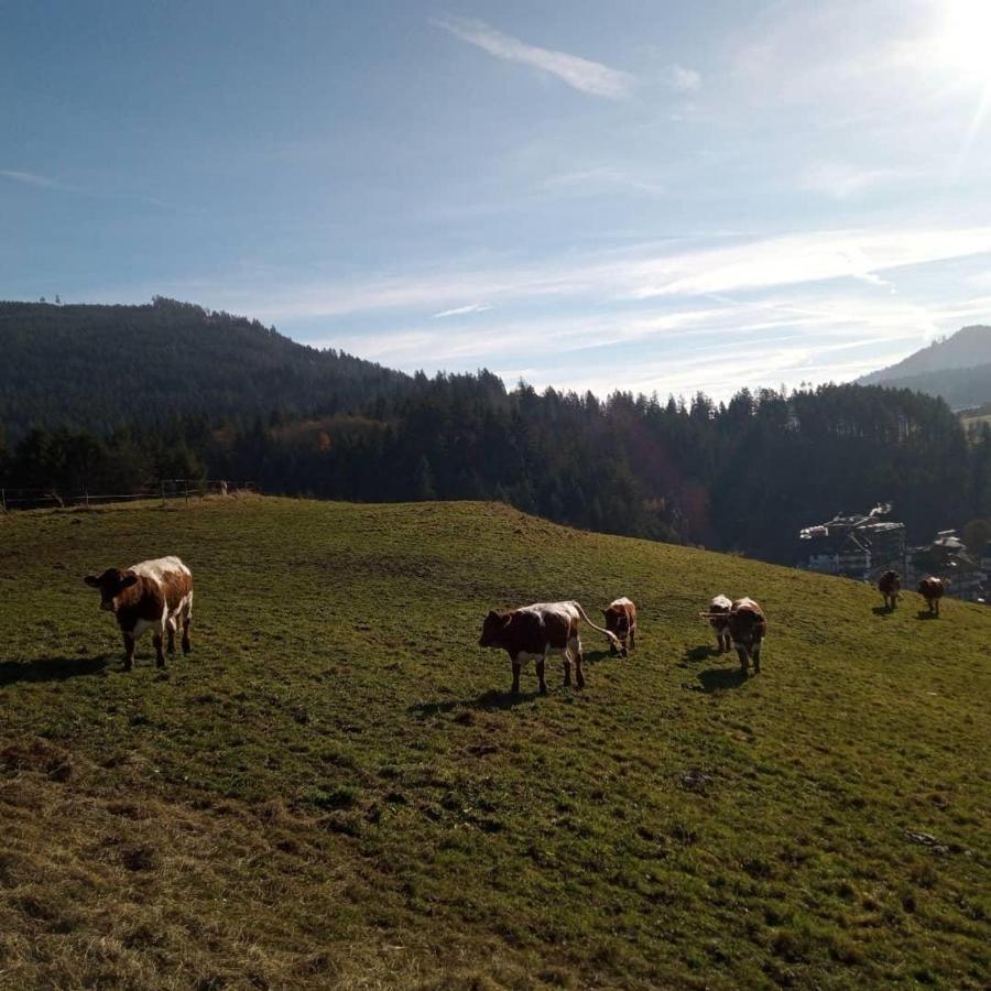 S'Heimatgfuehl Villa Schwarzenberg  Eksteriør bilde