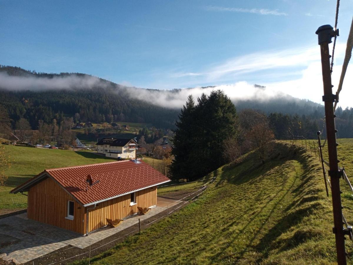 S'Heimatgfuehl Villa Schwarzenberg  Eksteriør bilde